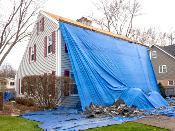 Best Wood Siding Installation  in Lakewood Park, FL